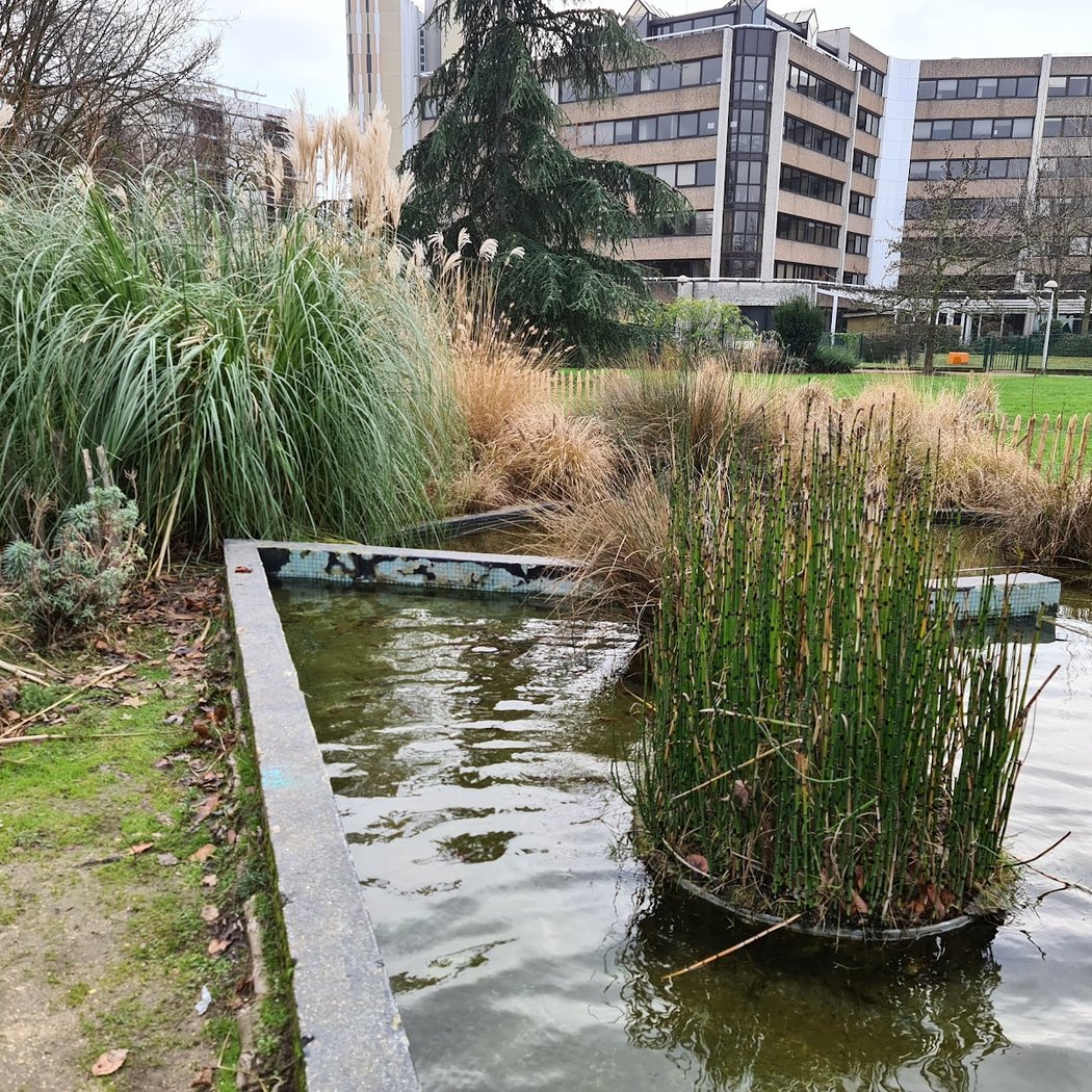 Parc Urbain de la Brêche 3